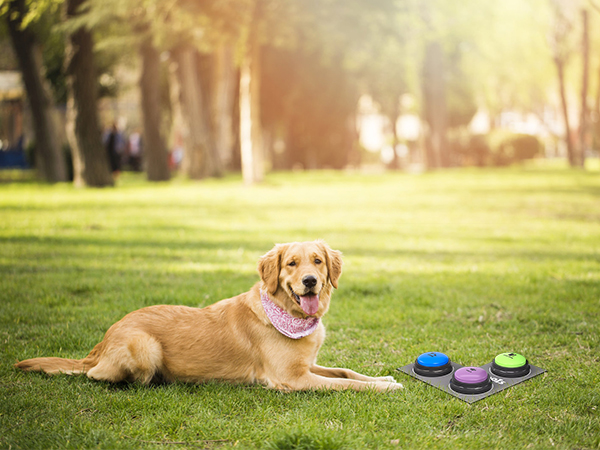 Speaking Button for Dogs