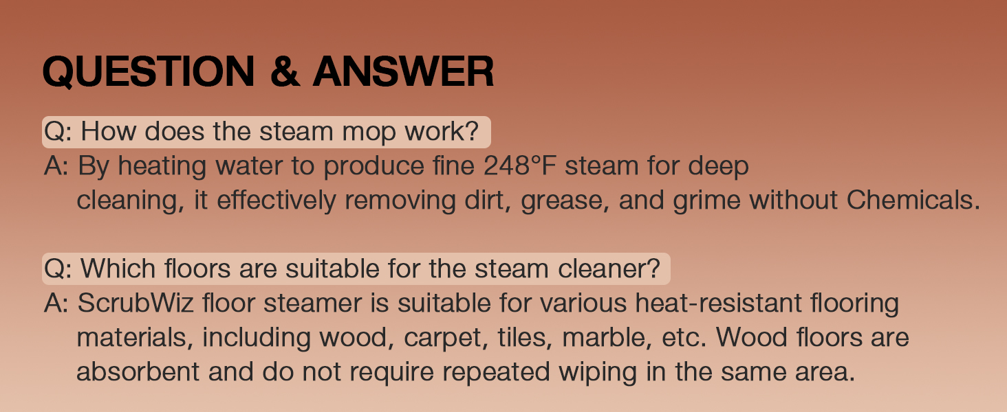 steam cleaner mop