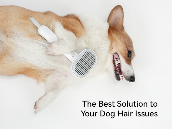 dog brush cat brush