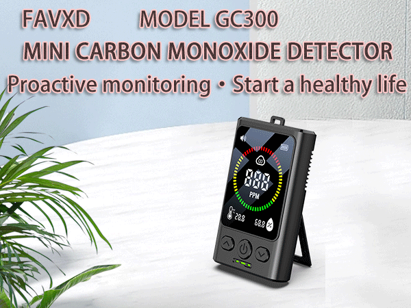 portable carbon monoxide detector