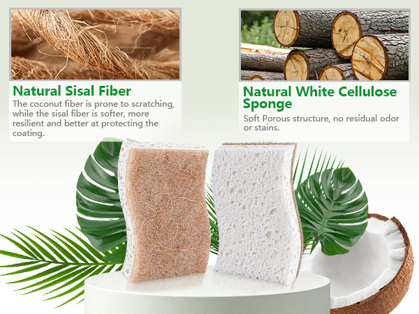 natural sponges
