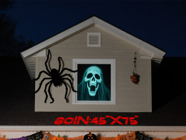 Holographic Rear Projection Screen