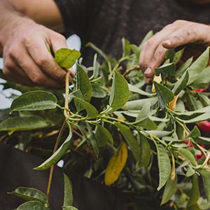 Multipurpose Garden Snips