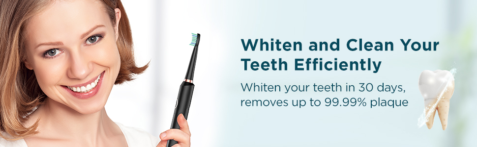 sonic electric toothbrush for adults