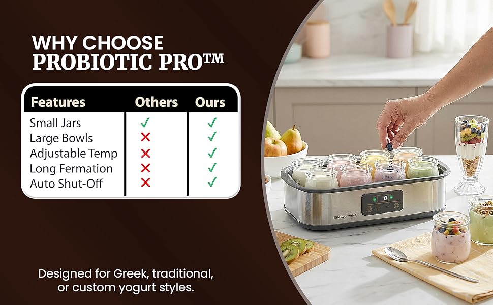 probiotic homemade healthy