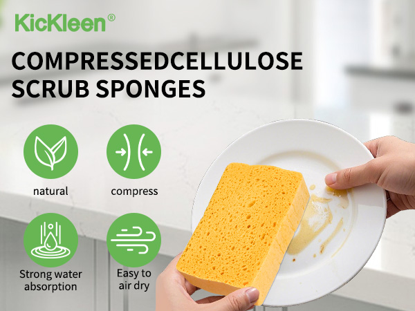 KICKLEEN FRENCH SPONGE