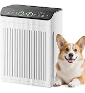 Air Purifiers for Home Pets up to 2200sq.ft, EVALIT Air Purifier for Large Room with PM2.5 Air Qu...