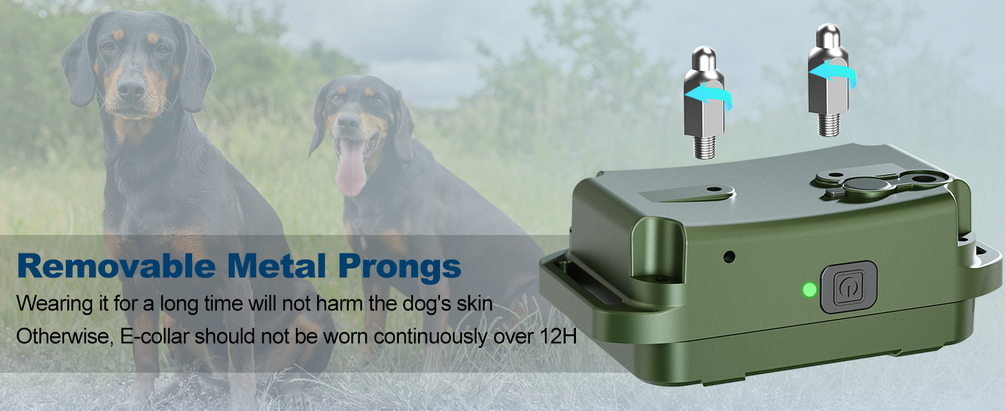 dog training collar