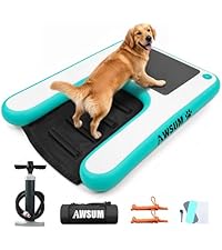 https://m.media-amazon.com/images/I/41LhpXxt8nL.__AC_SR200,225___.jpg