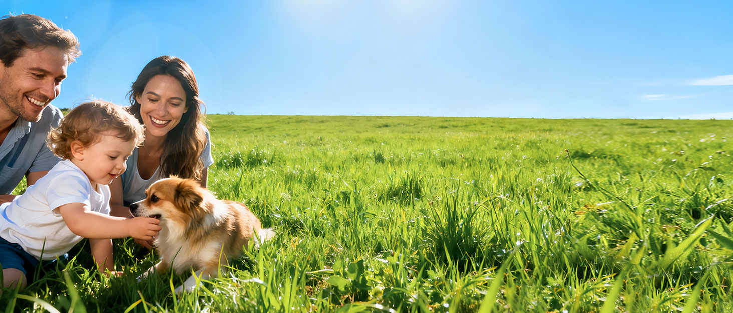 Noorio Outdoor Camera