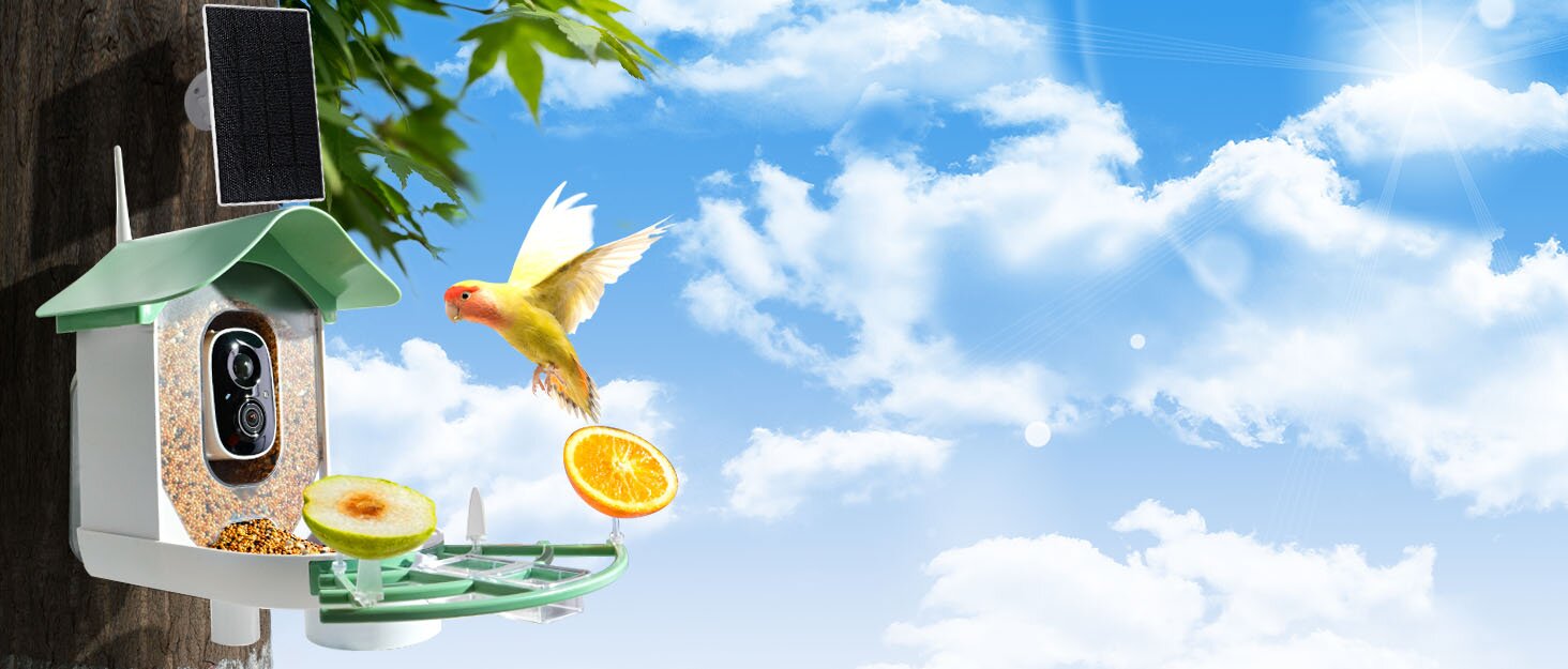 Smart Bird Feeder