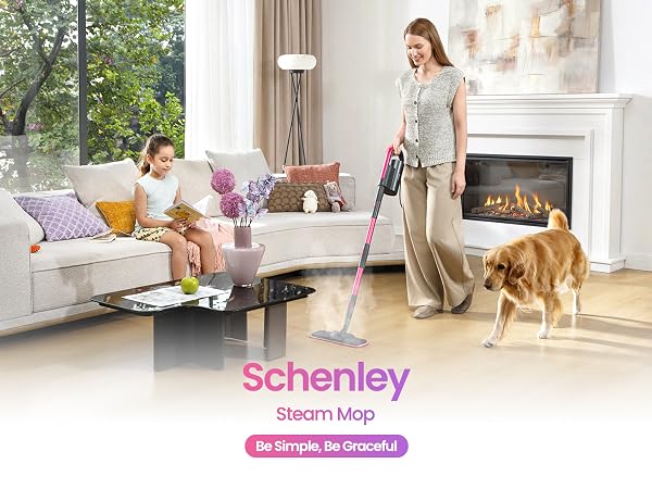 Schenley Steam Mop