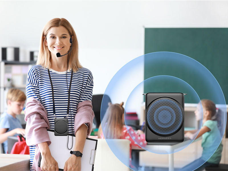 S368 Voice amplifier