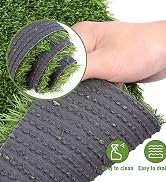 grass