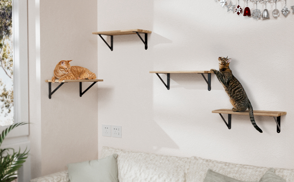 cat wall shelves