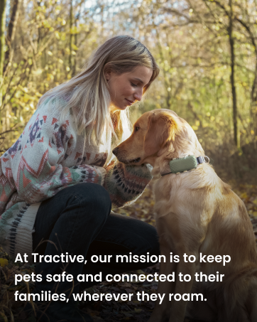 At Tractive, our mission is to keep pets safe and connected to their families, wherever they roam.