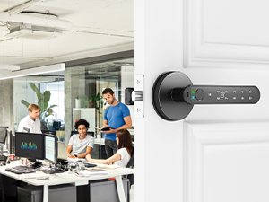 Home 0ffice Door Lock