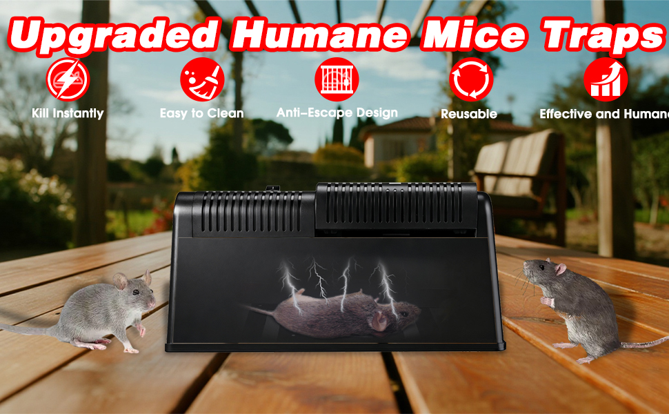 mouse traps