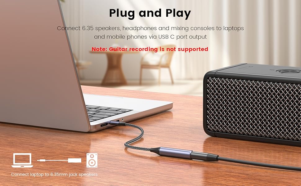 MOSWAG USB C to 1/4 Female audio adapter