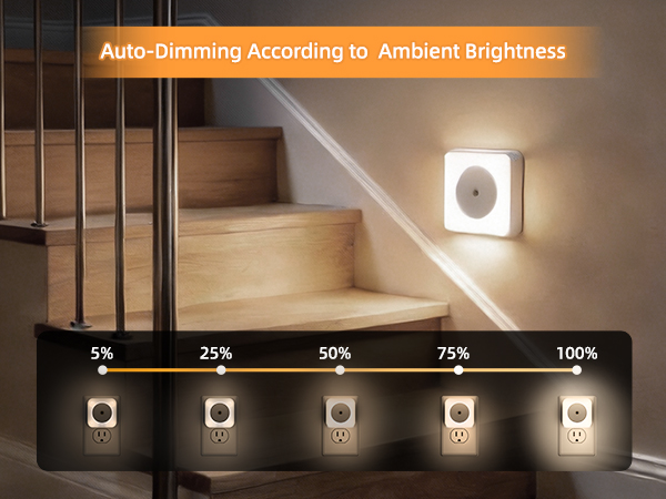 living room essentials