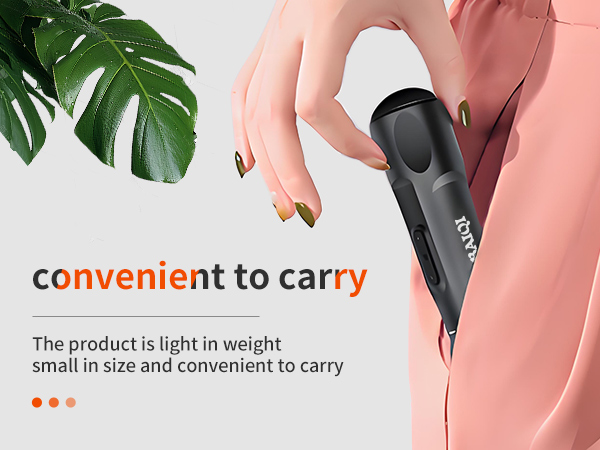 Portable and Convetion