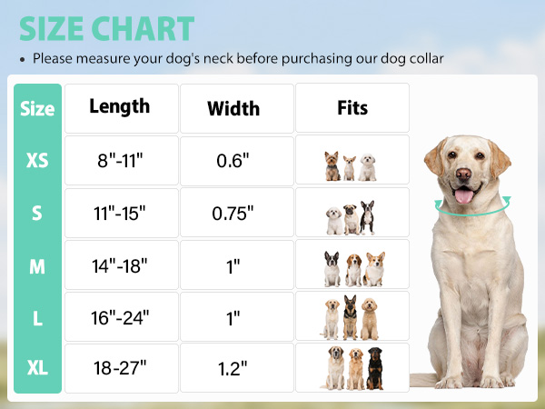 dog collar size chart