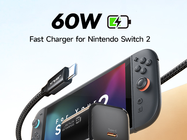 charger for switch 2 charger 1