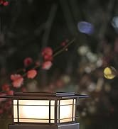 6 Pack Solar Post Lights