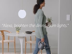 Basics Smart Switch