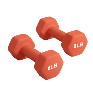 set of 2 dumbbell