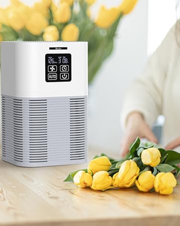 A1 Air Purifier
