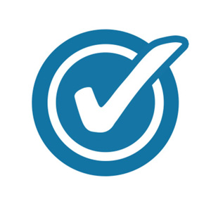  Professional-Level Design