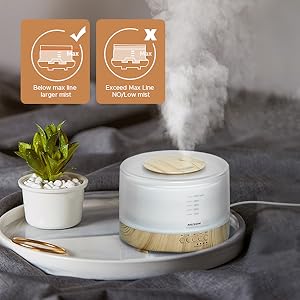Cool Mist Humidifier