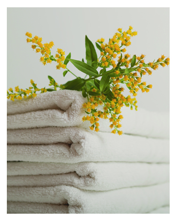 Flowers on top of a stack of towels