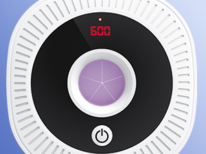 Timer display