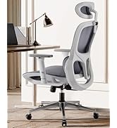 Hbada P2 Pro Ergonomic Office Chair, Office Chair with 3D Lumbar Support, Big and Tall Mesh Chair...