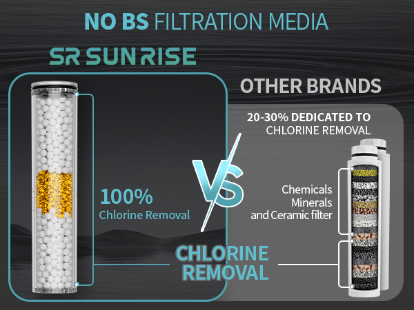 filtered shower head
