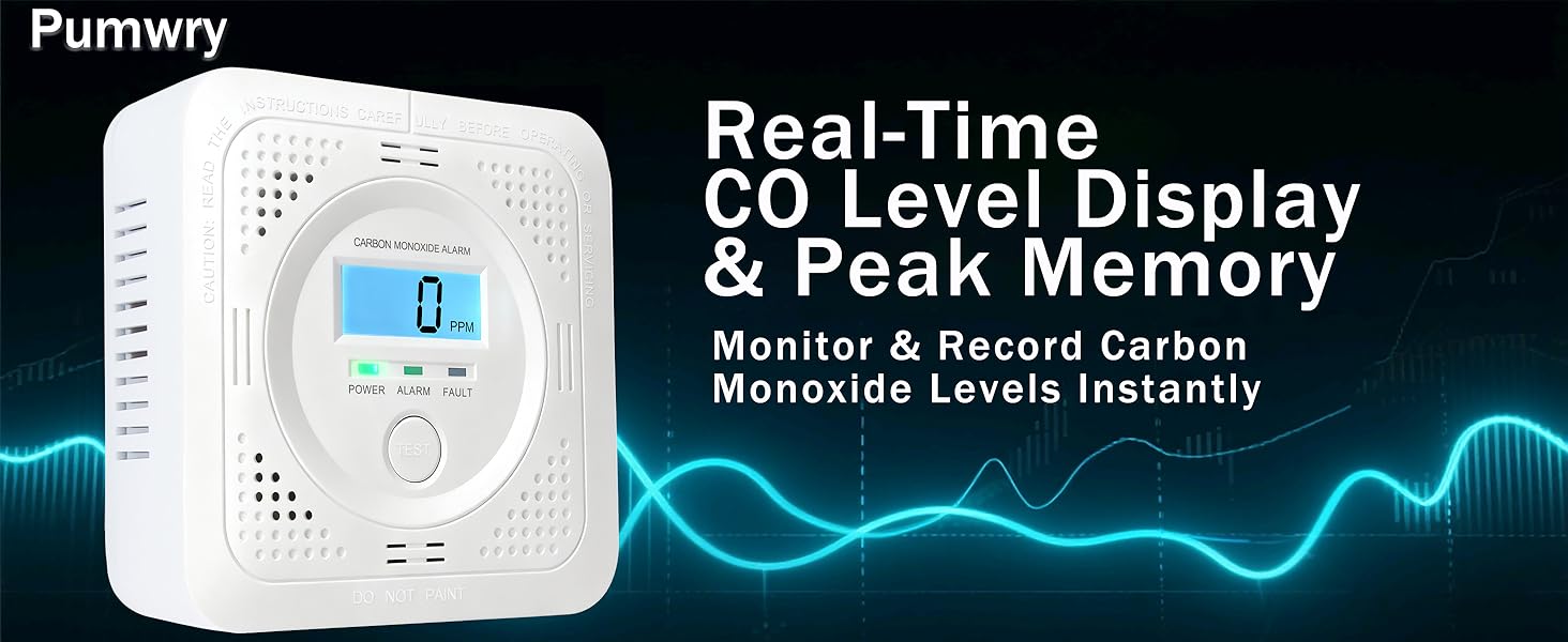 carbon monoxide detector