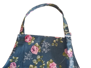 AP06 apronfeatures 2-300X225