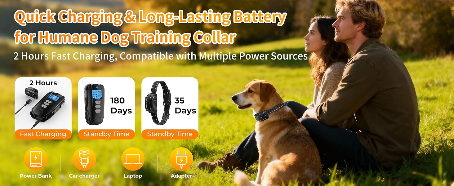 dog training collar 7