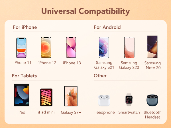 battery charger with wall plug