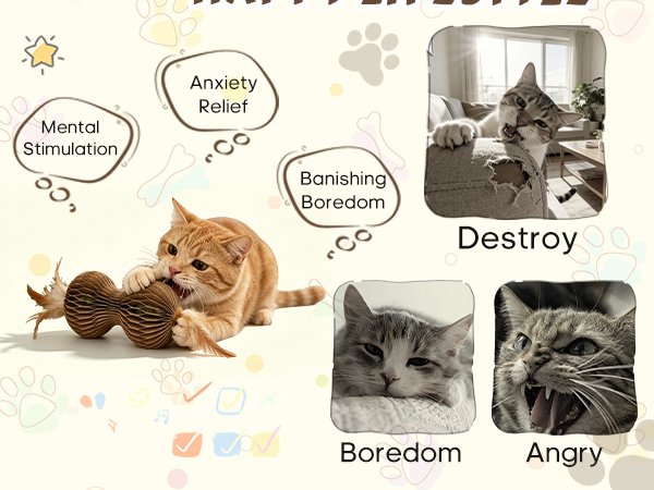 indoor cat toy