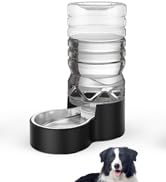 auto pet water dispenser
