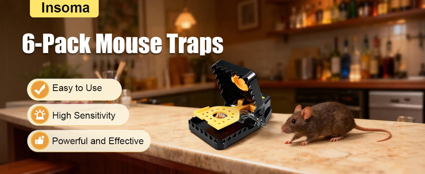 mouse trap-R1