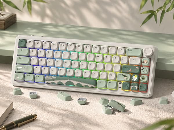 dagaladoo PBT Keyboard Keycaps, Beige/Green MOA keycaps,Spring Tea