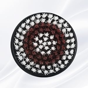 2* Exfoliating Brush Heads