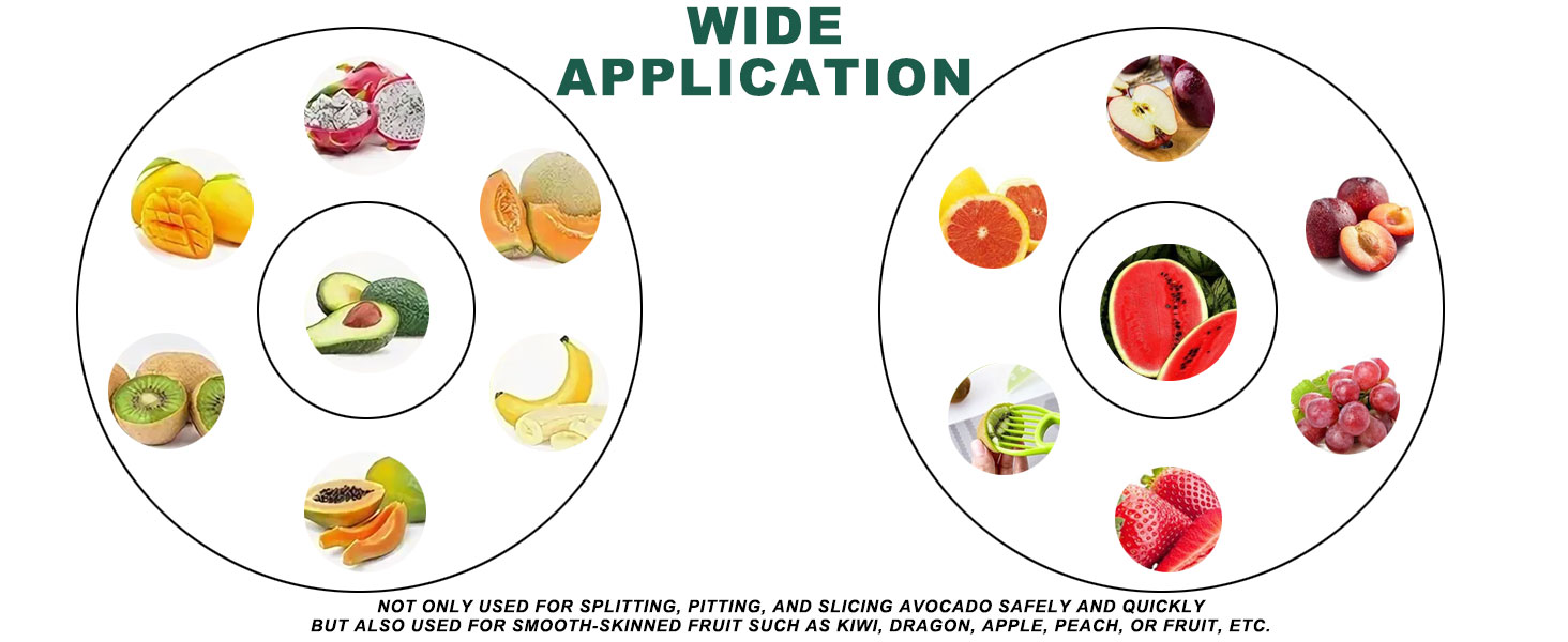Avocado 