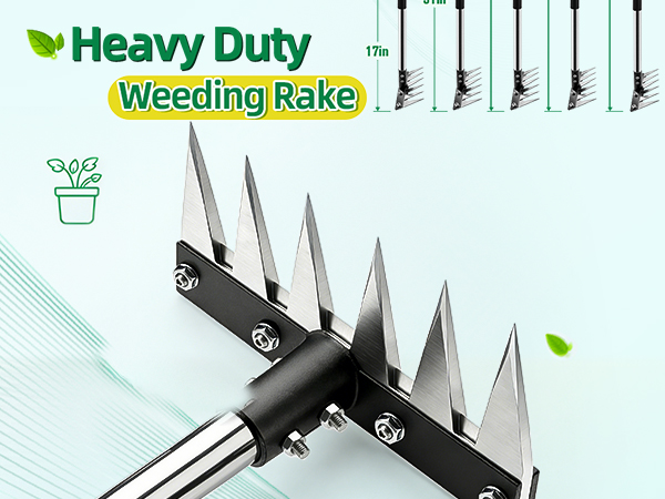 Iron Weed Rake 