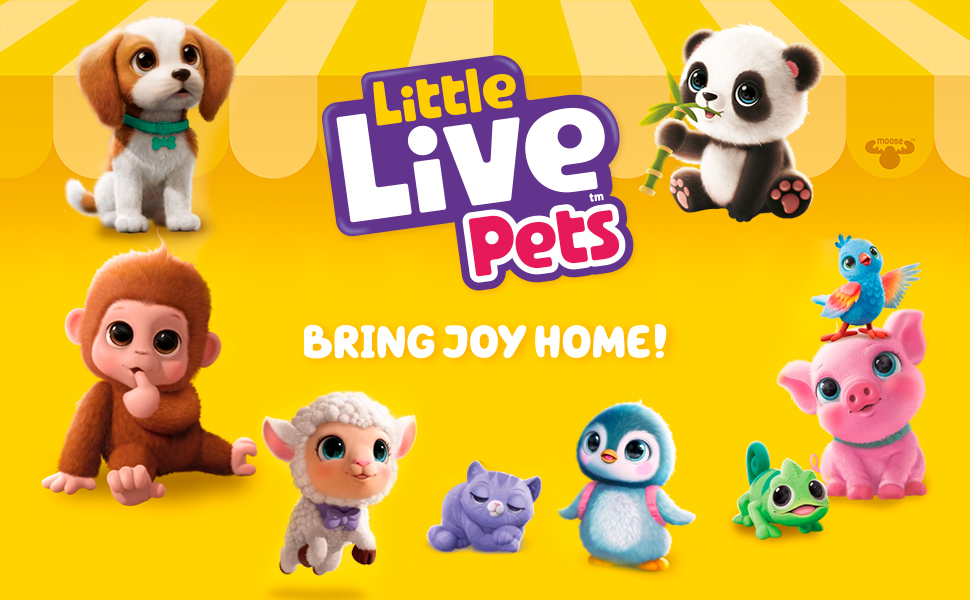 little live pets