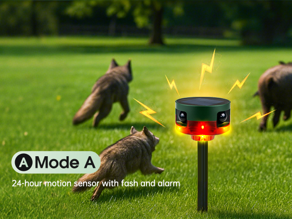 solar alarm round2 04-1 app